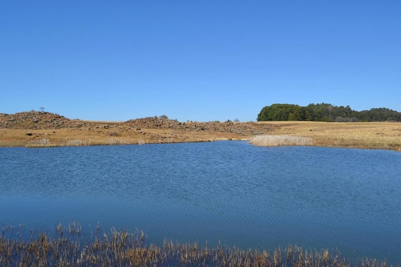 Berryfields Lägenhet Dullstroom Exteriör bild
